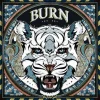 Andreas Preis - Burn Giclee Print
