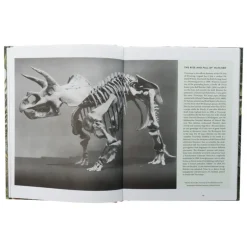 Dinosaurs are collectible