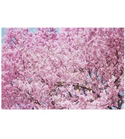 Mika Ninagawa : Into Fiction/Reality