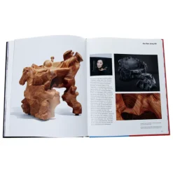 Objects: USA 2020