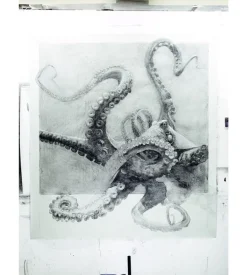 Quentin Garel - Monographie