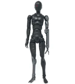 TOA Heavy Industries - 1/6 Anti CaRB and Reprogrammed Body