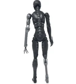 TOA Heavy Industries - 1/6 Anti CaRB and Reprogrammed Body
